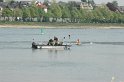 Wasserleiche im Rhein Hoehe Koeln Rodenkirchen P05